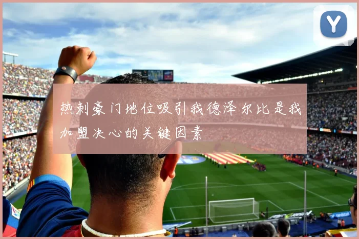 热刺豪门地位吸引我德泽尔比是我加盟决心的关键因素